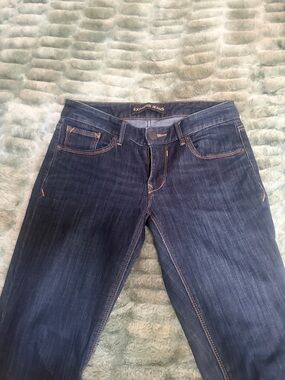 Express Dark Blue Stretch Jeans - Express Jeans